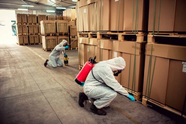 Best Termite Control Services  in Vidalia, LA