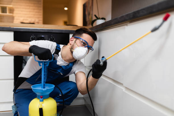 Best Ant Control Services  in Vidalia, LA