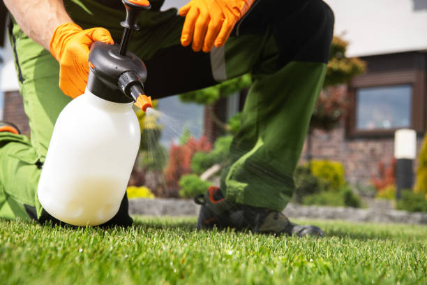 Best Pest Inspection Near Me  in Vidalia, LA