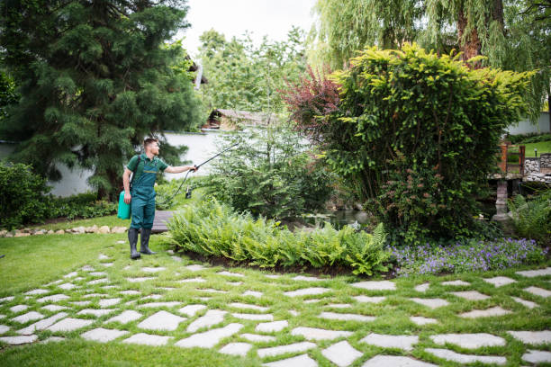 Best Pest Control Treatment  in Vidalia, LA