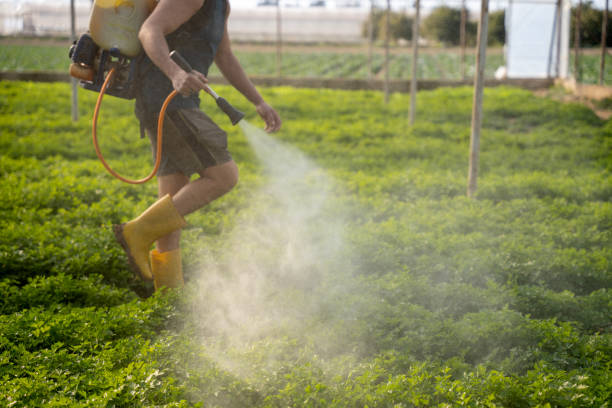 Best Best Pest Control Companies  in Vidalia, LA