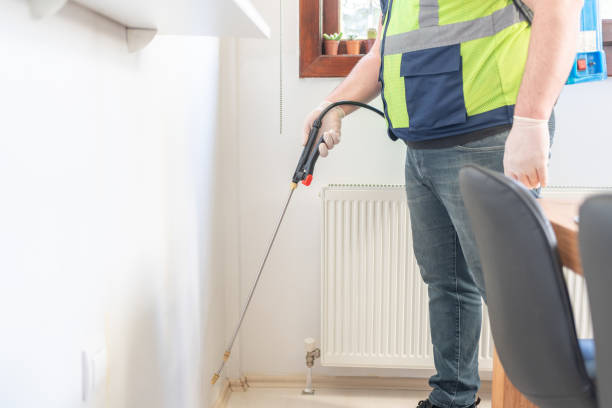 Best Termite Control Services  in Vidalia, LA