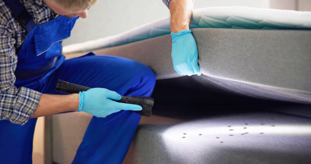 Best Bed Bug Extermination  in Vidalia, LA