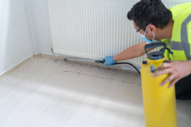 Pest Prevention Services in Vidalia, LA