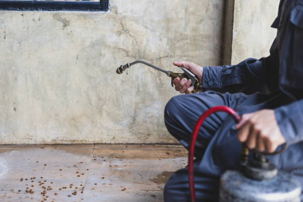 Best Flea Control Services  in Vidalia, LA