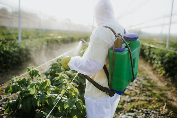 Best Pest Prevention Services  in Vidalia, LA